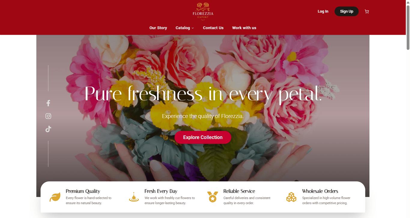 Florezzia Export